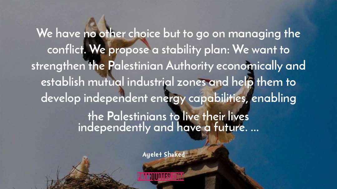 Capabilities quotes by Ayelet Shaked