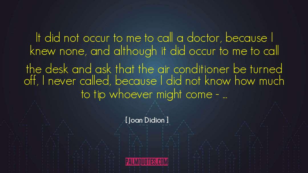 Capdeboscq Air quotes by Joan Didion