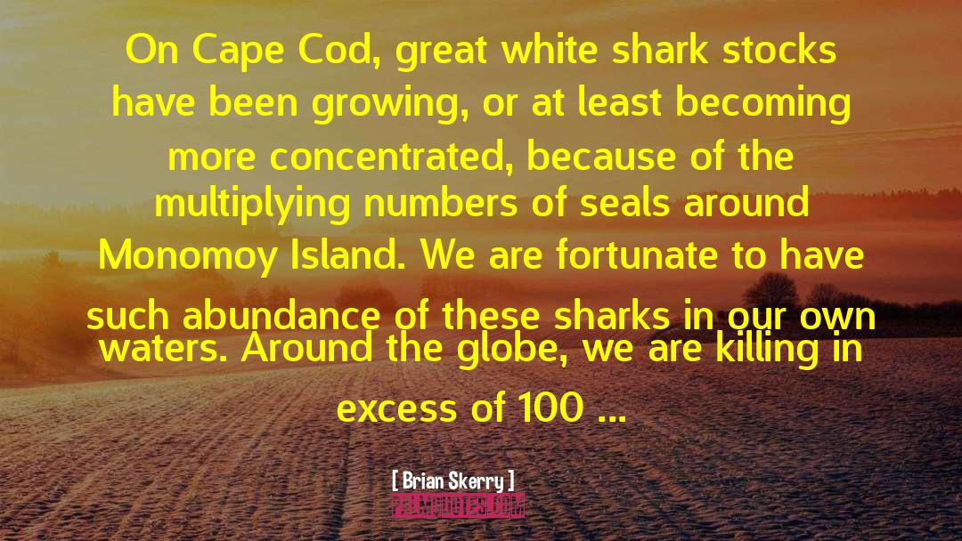 Cape Cod quotes by Brian Skerry