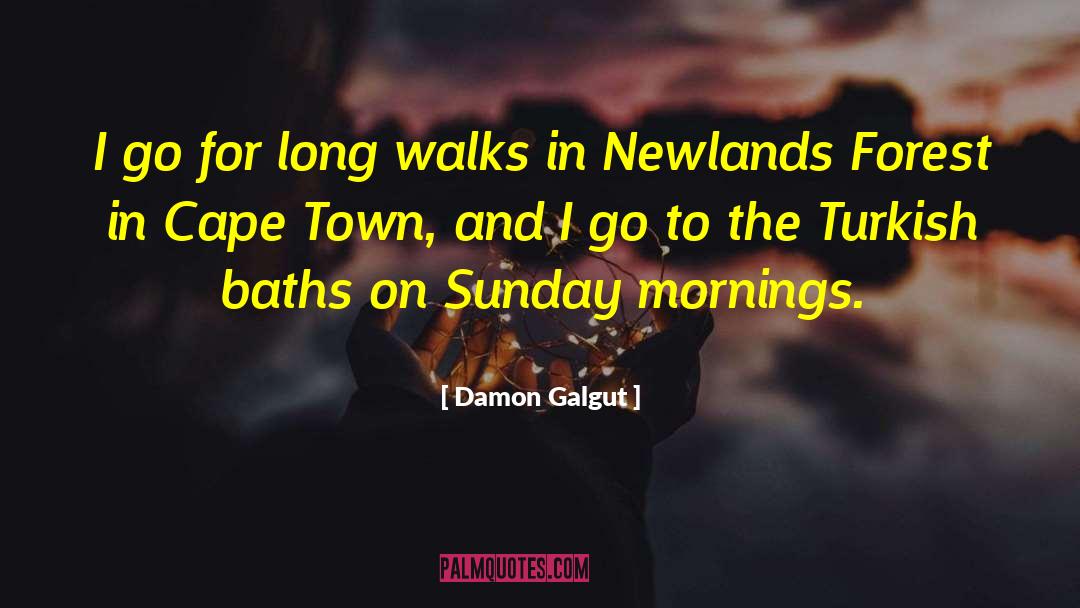 Cape Town quotes by Damon Galgut
