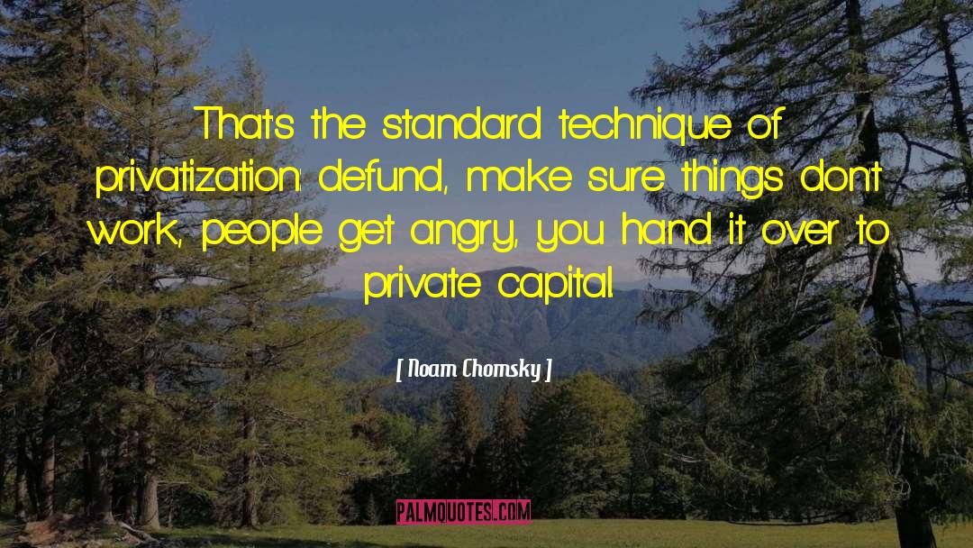 Capital Accumulation quotes by Noam Chomsky
