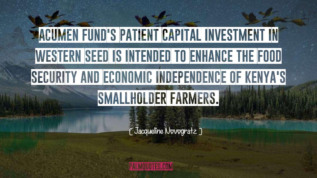 Capital Investment quotes by Jacqueline Novogratz