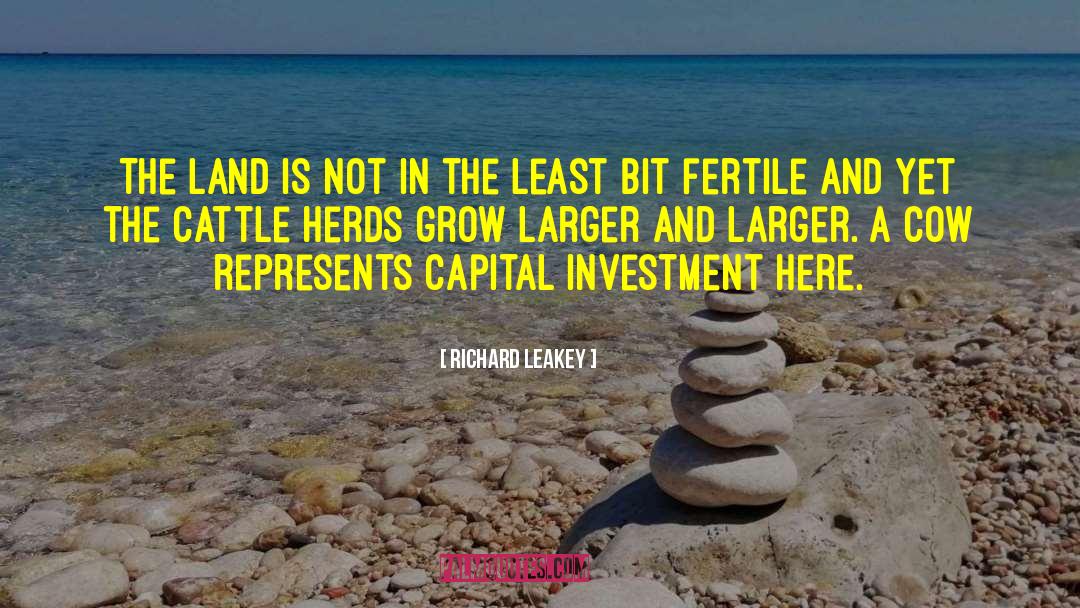 Capital Investment quotes by Richard Leakey