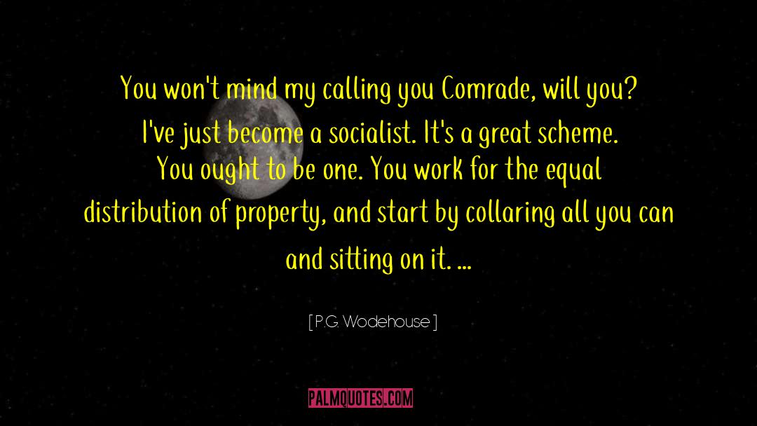 Capitalism And Socialism quotes by P.G. Wodehouse