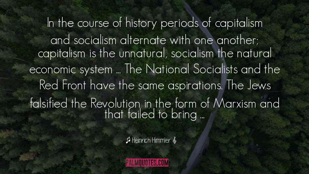 Capitalism And Socialism quotes by Heinrich Himmler