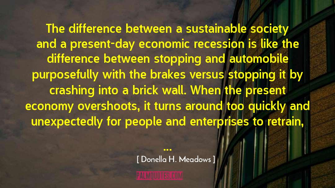 Capitalist Economy quotes by Donella H. Meadows