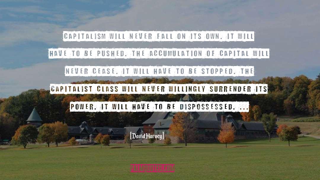 Capitalist quotes by David Harvey