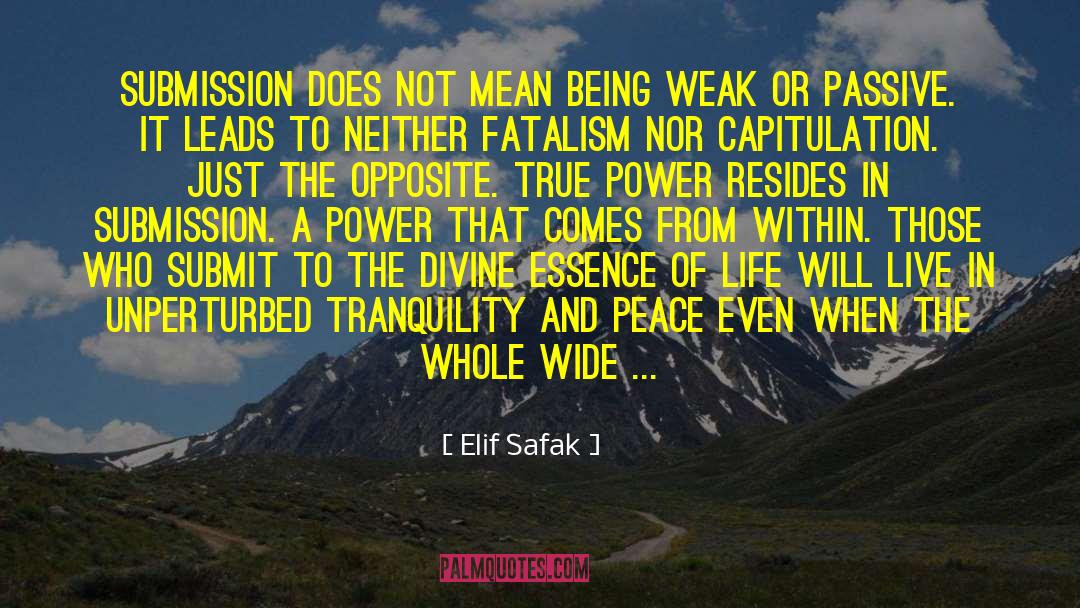 Capitulation quotes by Elif Safak