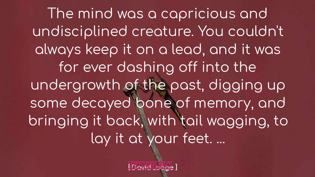 Capricious quotes by David Lodge