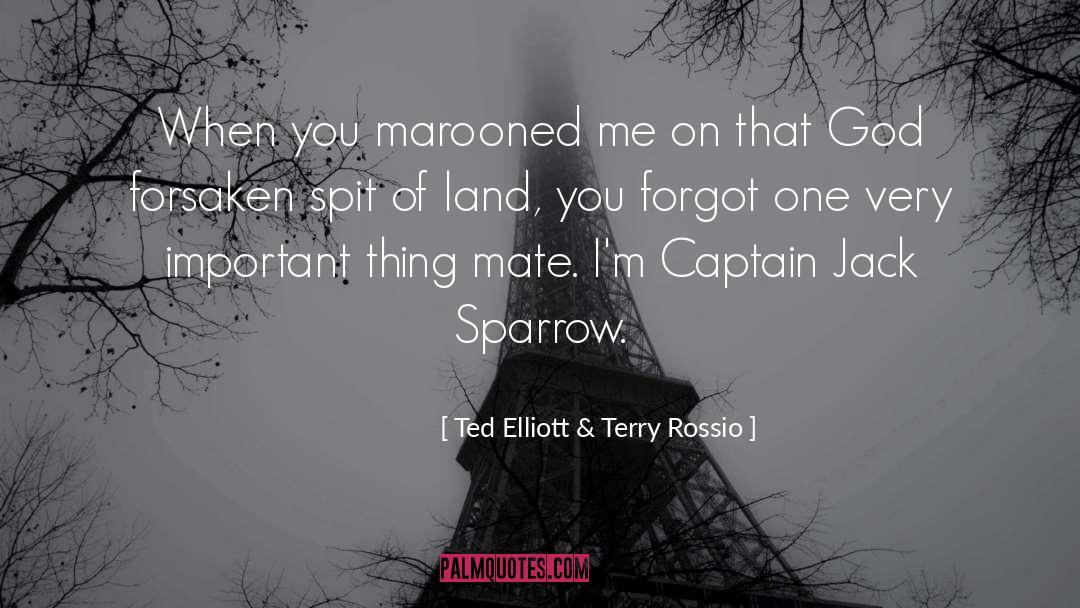 Captain Jack Sparrow quotes by Ted Elliott & Terry Rossio
