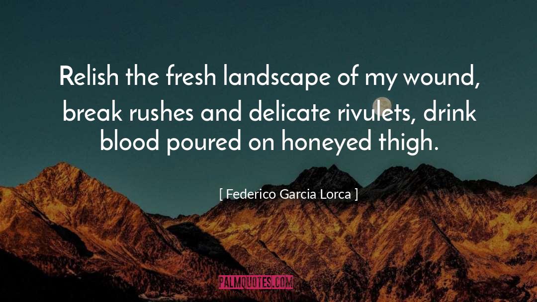 Captain Lorca quotes by Federico Garcia Lorca