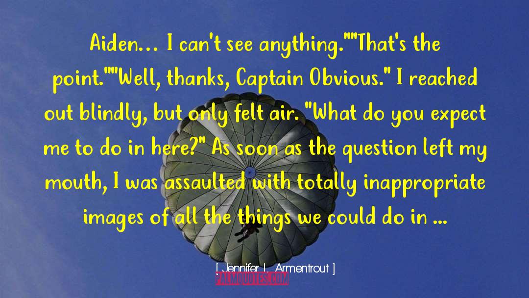 Captain Obvious Commercial quotes by Jennifer L. Armentrout