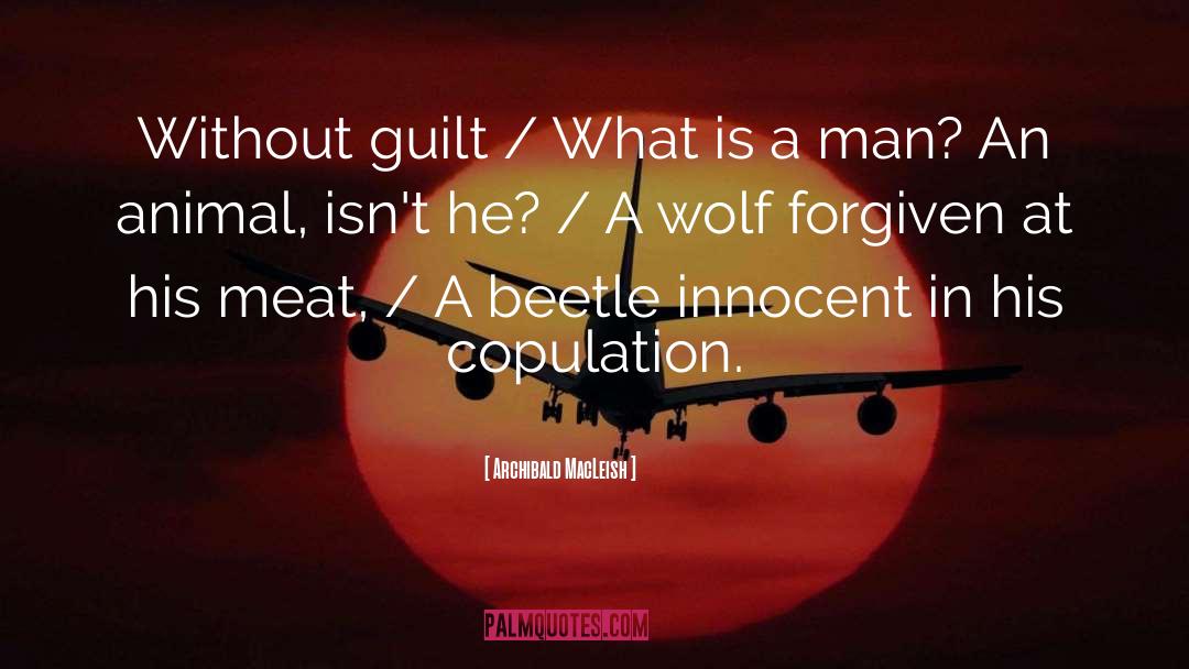 Captain Wolf Putin quotes by Archibald MacLeish