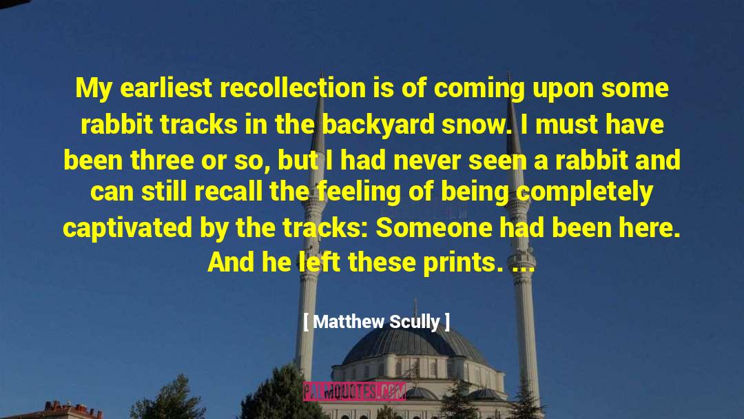 Captivated quotes by Matthew Scully