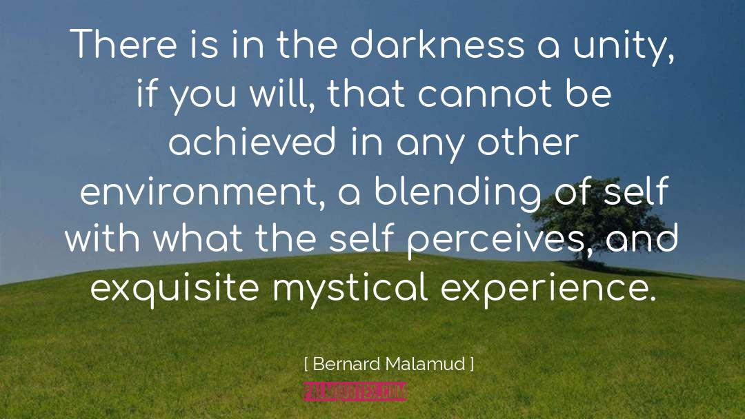 Captive In The Dark quotes by Bernard Malamud