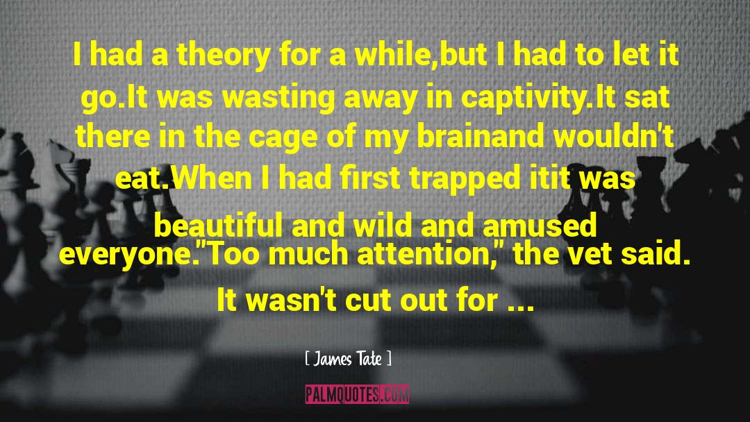 Captivity quotes by James Tate