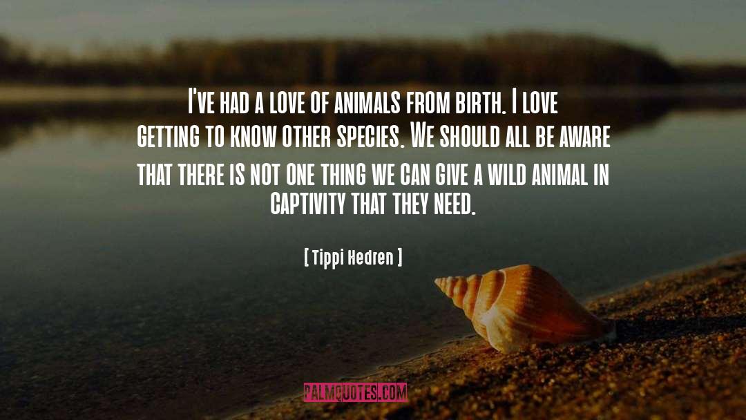 Captivity quotes by Tippi Hedren