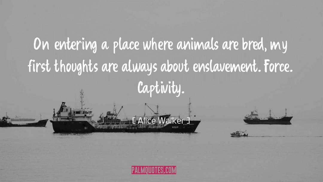 Captivity quotes by Alice Walker