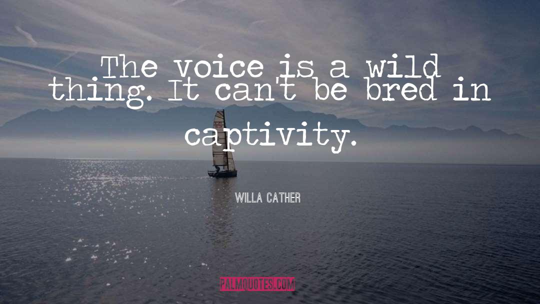 Captivity quotes by Willa Cather