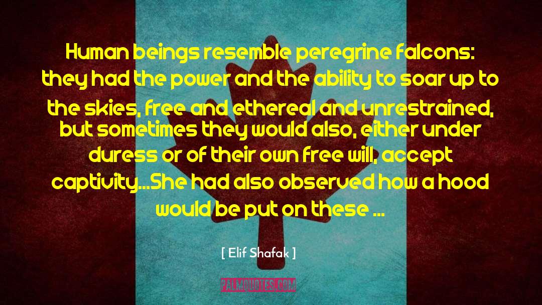 Captivity quotes by Elif Shafak