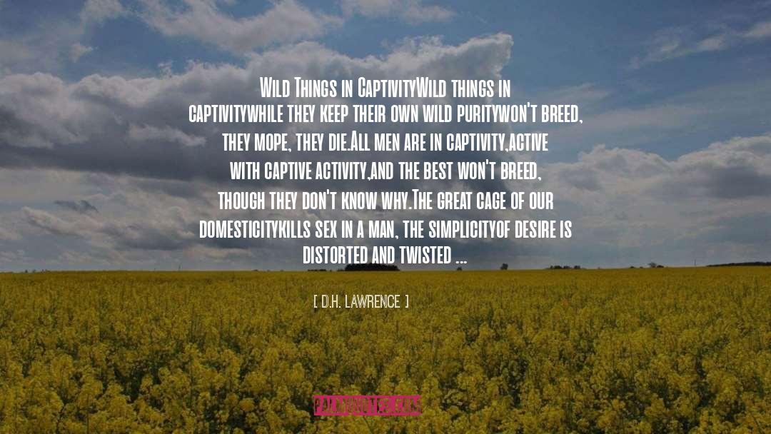 Captivity quotes by D.H. Lawrence