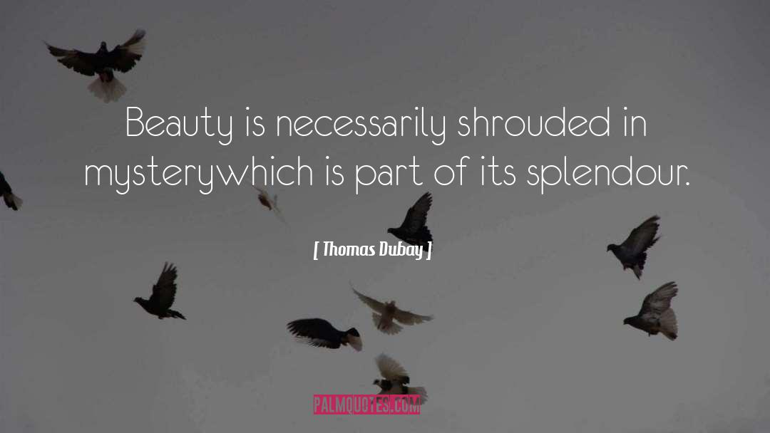 Capture Beauty quotes by Thomas Dubay