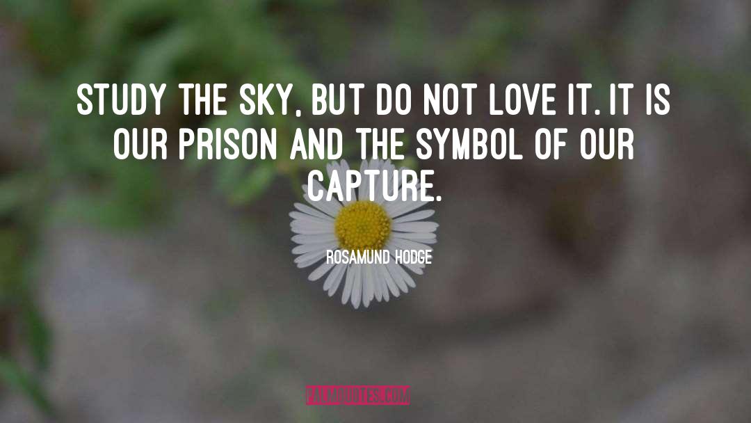 Capture quotes by Rosamund Hodge