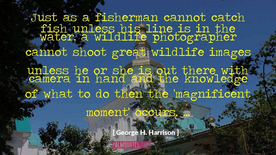 Capturing A Moment Photography quotes by George H. Harrison