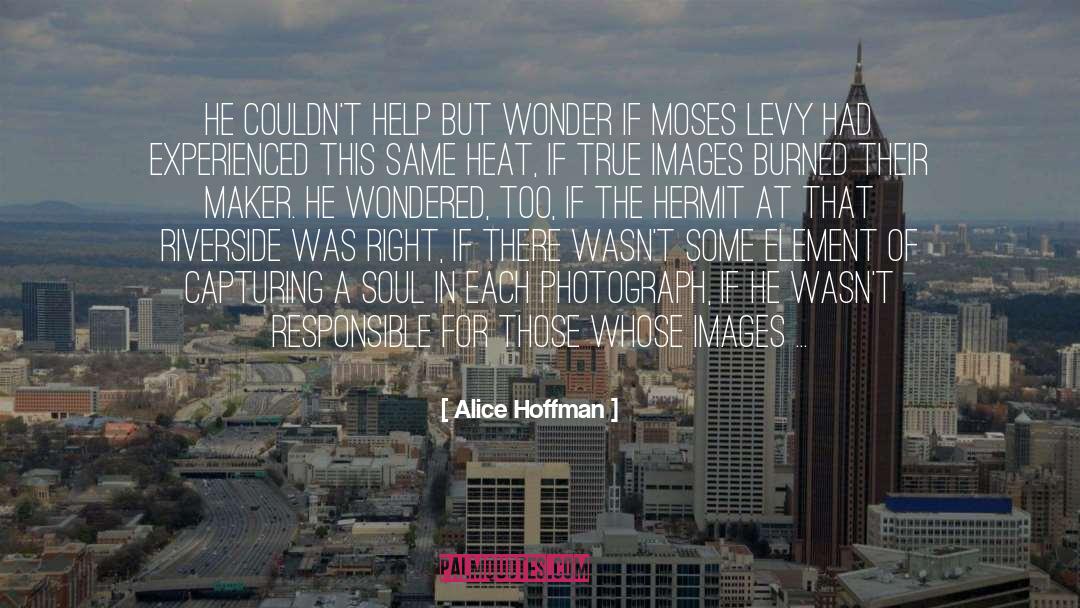 Capturing quotes by Alice Hoffman