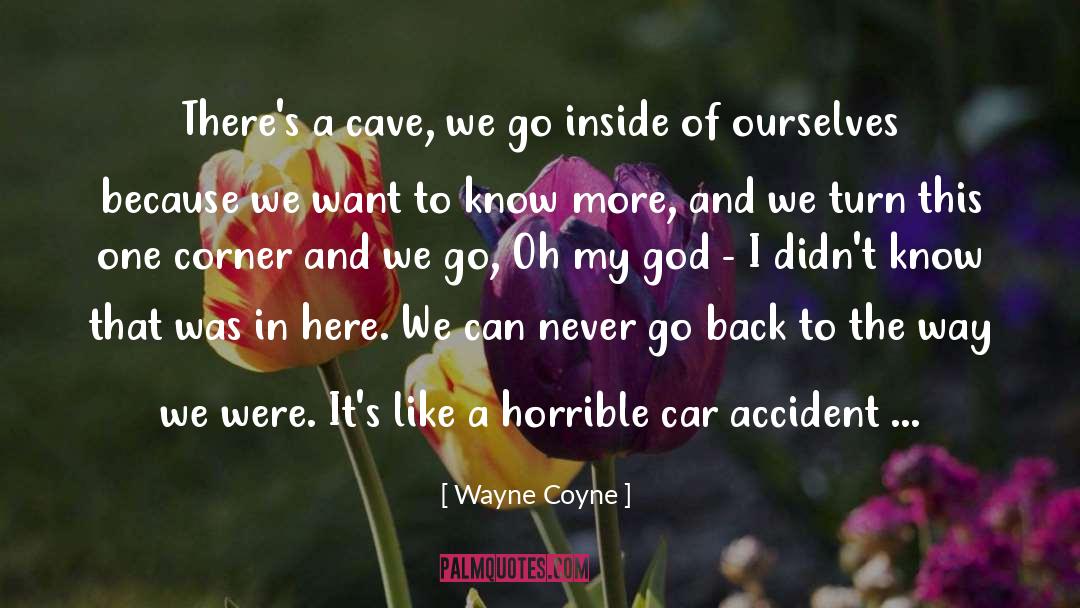 Car Accident quotes by Wayne Coyne