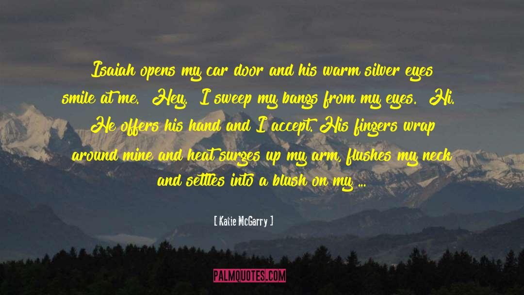 Car Door quotes by Katie McGarry