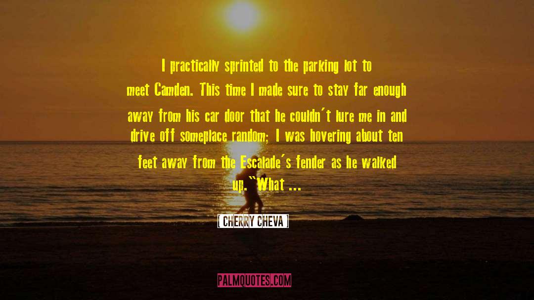 Car Door quotes by Cherry Cheva