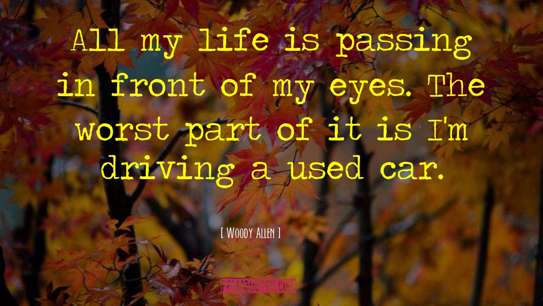 Car Driving quotes by Woody Allen