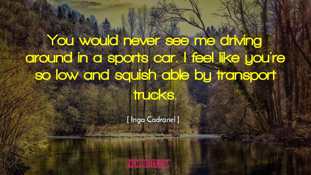 Car Driving quotes by Inga Cadranel