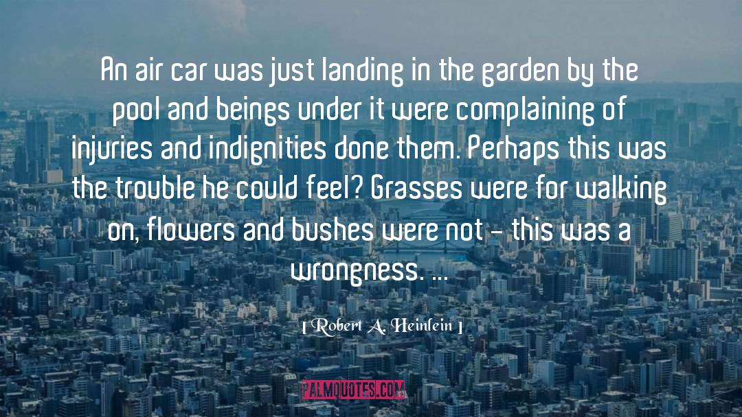 Car Scene quotes by Robert A. Heinlein