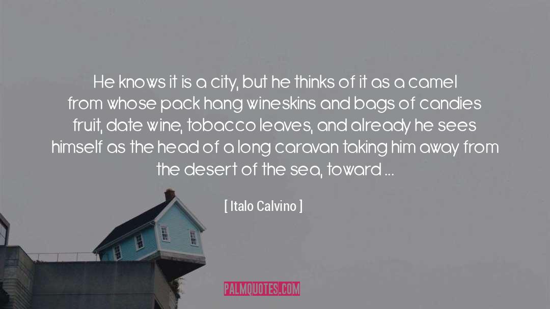 Caravan quotes by Italo Calvino