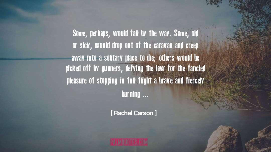 Caravan quotes by Rachel Carson