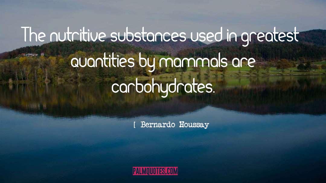 Carbohydrates quotes by Bernardo Houssay