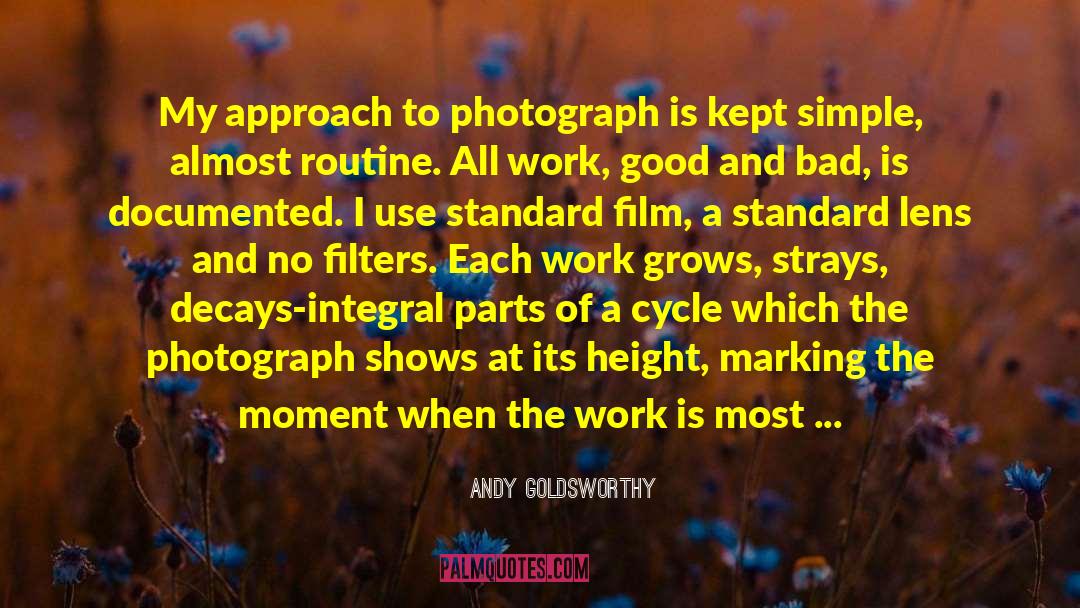 Carbon Cycle quotes by Andy Goldsworthy