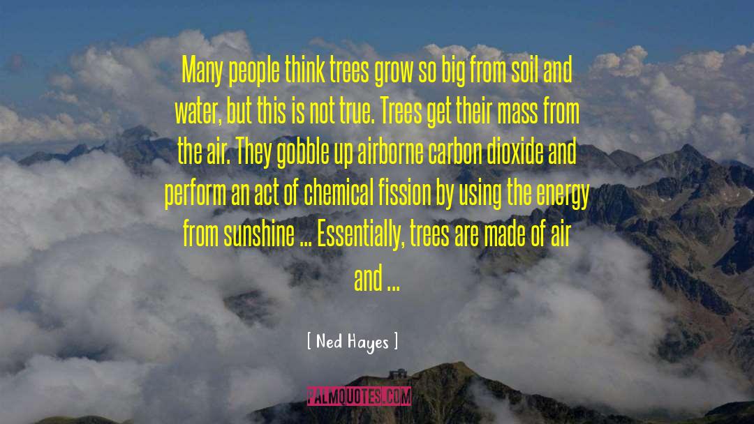 Carbon Dioxide Emissions quotes by Ned Hayes