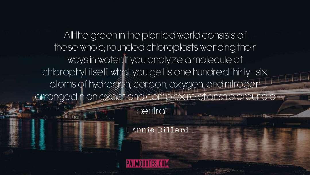 Carbon quotes by Annie Dillard