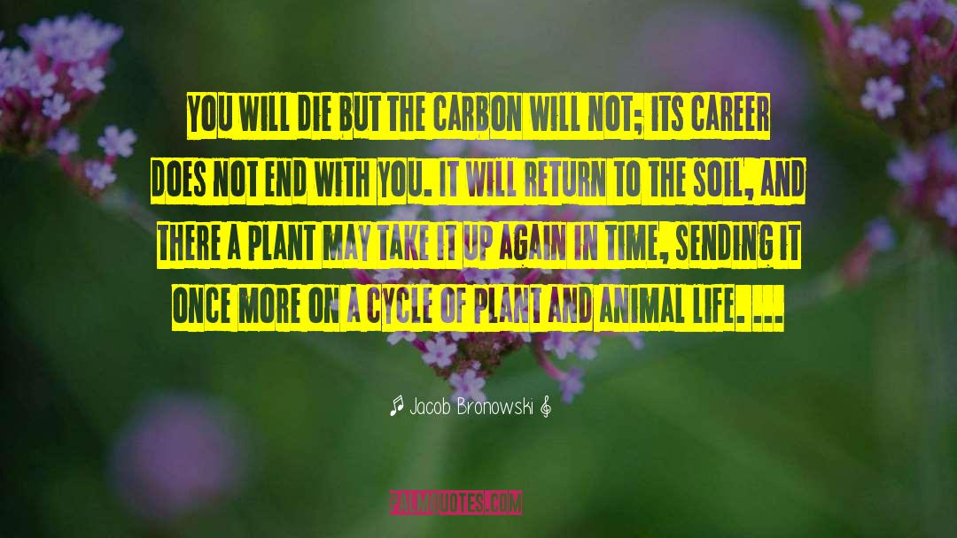 Carbon quotes by Jacob Bronowski