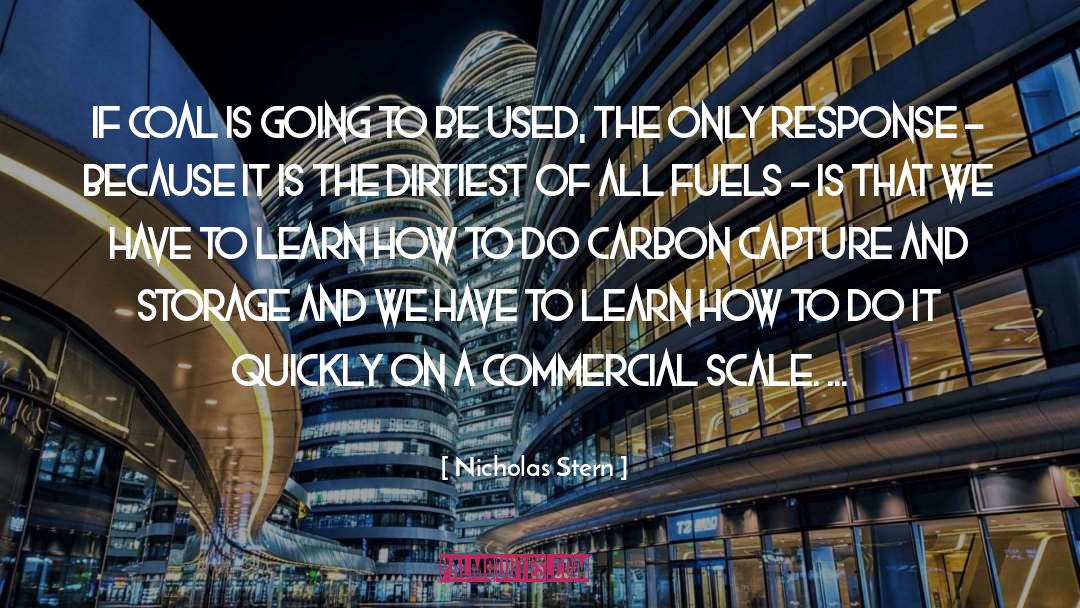 Carbon quotes by Nicholas Stern