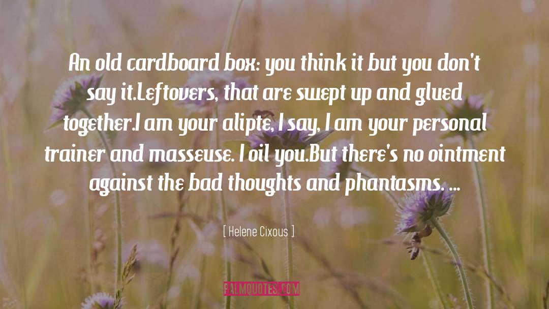 Cardboard quotes by Helene Cixous