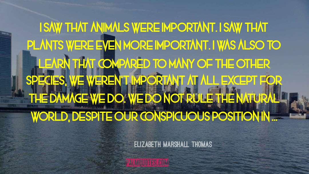 Cardinal Rules quotes by Elizabeth Marshall Thomas