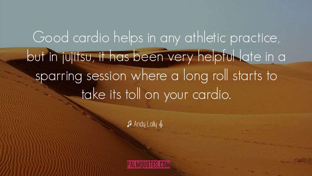 Cardio quotes by Andy Lally