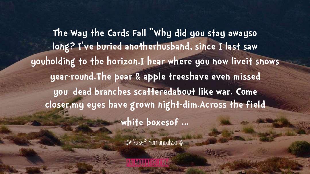Cards Are Stacked quotes by Yusef Komunyakaa