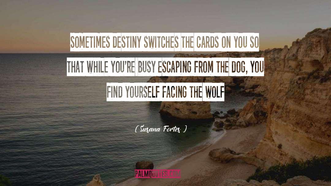Cards Youre Dealt quotes by Susana Fortes
