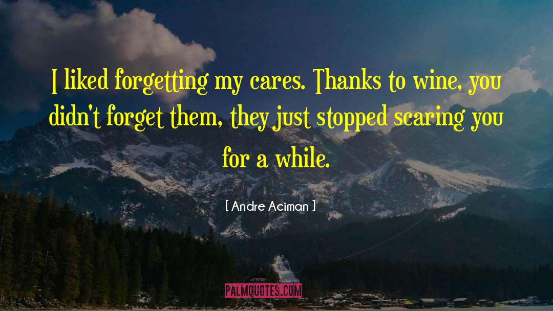 Care Of Wine quotes by Andre Aciman