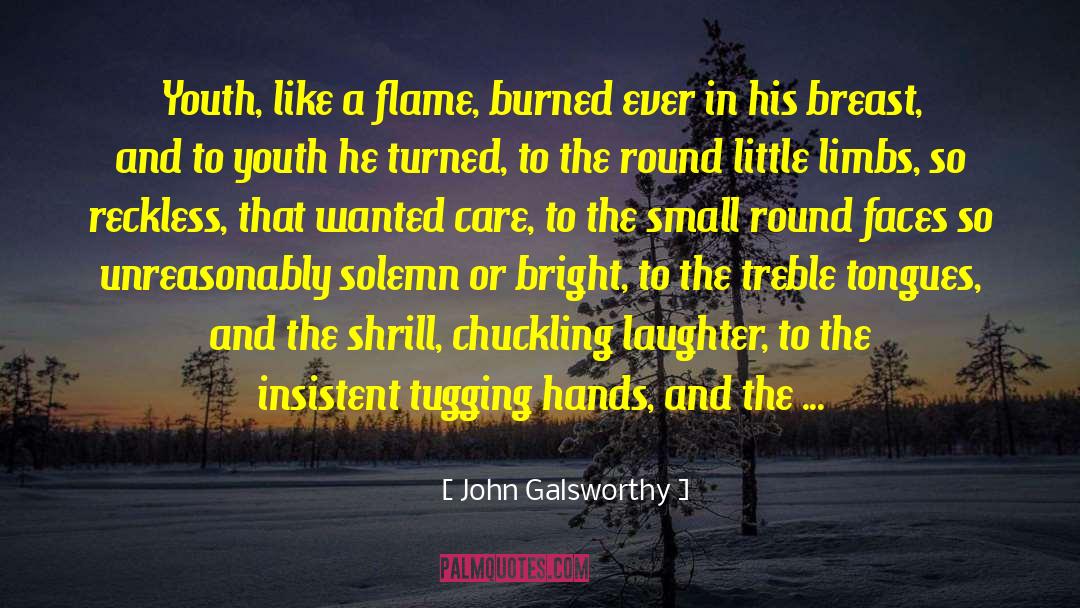 Care Taking quotes by John Galsworthy
